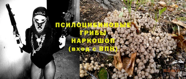 стафф Алзамай