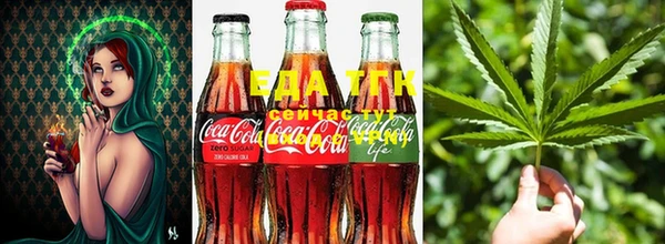 стафф Алзамай