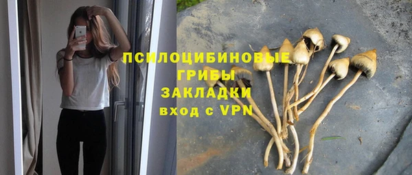 PSILOCYBIN Алексин